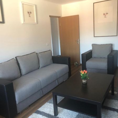 Apartament Belvedere Călimăneşti エクステリア 写真