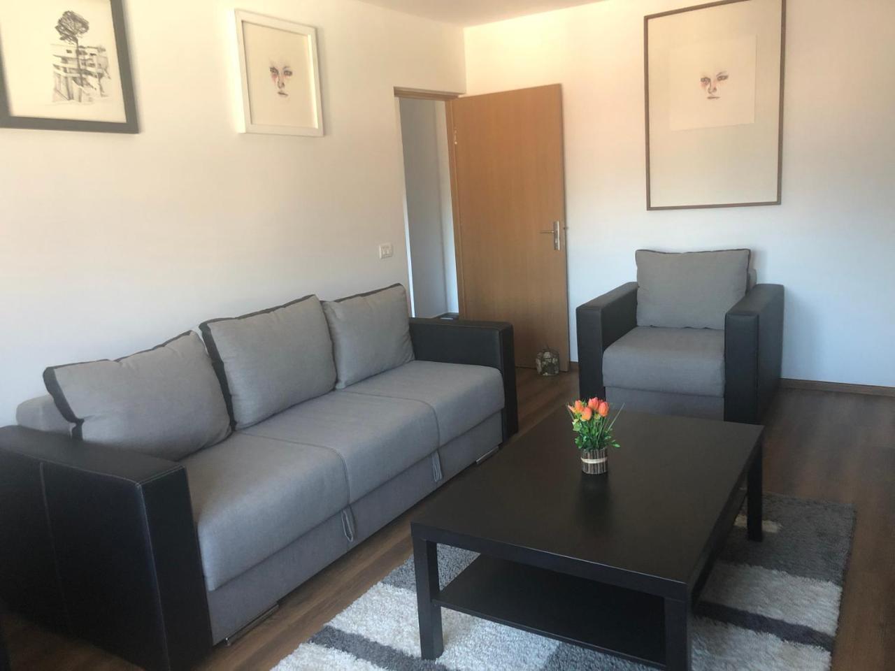 Apartament Belvedere Călimăneşti エクステリア 写真